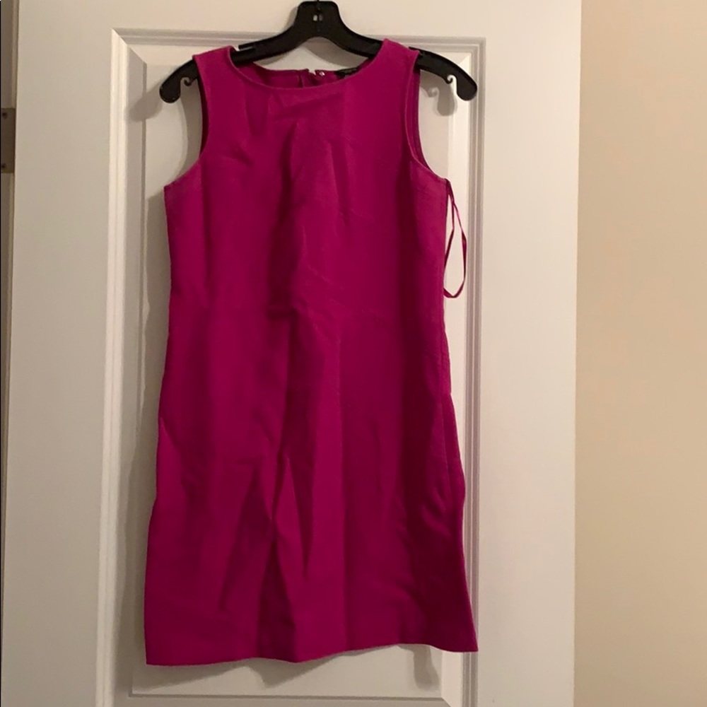 Ann Taylor Dress